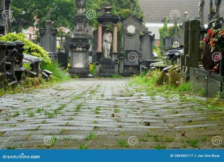 Cómo buscar avisos fúnebres por apellido en Mendoza fácilmente 2 Cómo buscar avisos fúnebres por apellido en Mendoza fácilmente