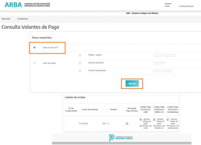 Cómo consultar y pagar las multas de ARBA por ingresos brutos 3 Cómo consultar y pagar las multas de ARBA por ingresos brutos