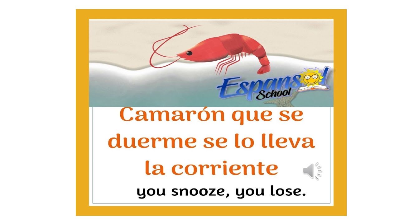 Cómo dice el dicho "Camarón que se duerme, se lo lleva la corriente" 1 como dice el dicho camaron que se duerme se lo lleva la corriente