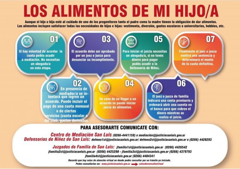 Cómo funciona el embargo por cuota alimentaria en Argentina