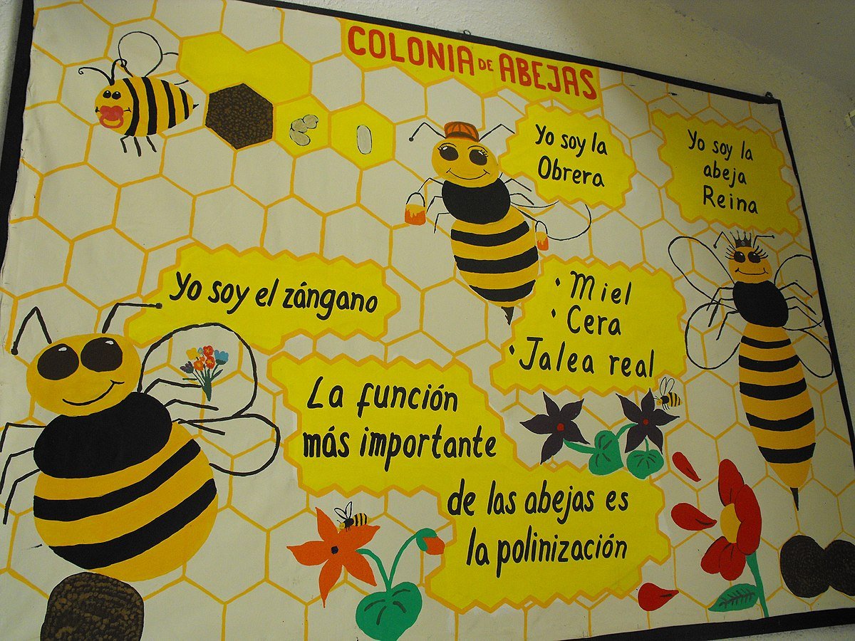 como implementar un proyecto sobre abejas para nivel inicial