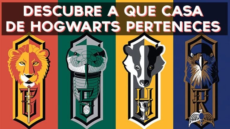 Cómo puedo descubrir a qué casa de Harry Potter pertenezco 6 Cómo puedo descubrir a qué casa de Harry Potter pertenezco