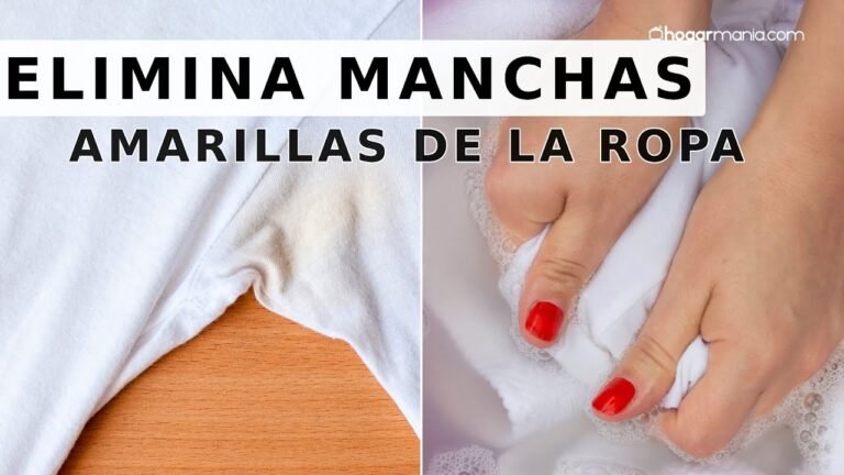 Cómo puedo eliminar manchas amarillas de una remera blanca 4 Cómo puedo eliminar manchas amarillas de una remera blanca