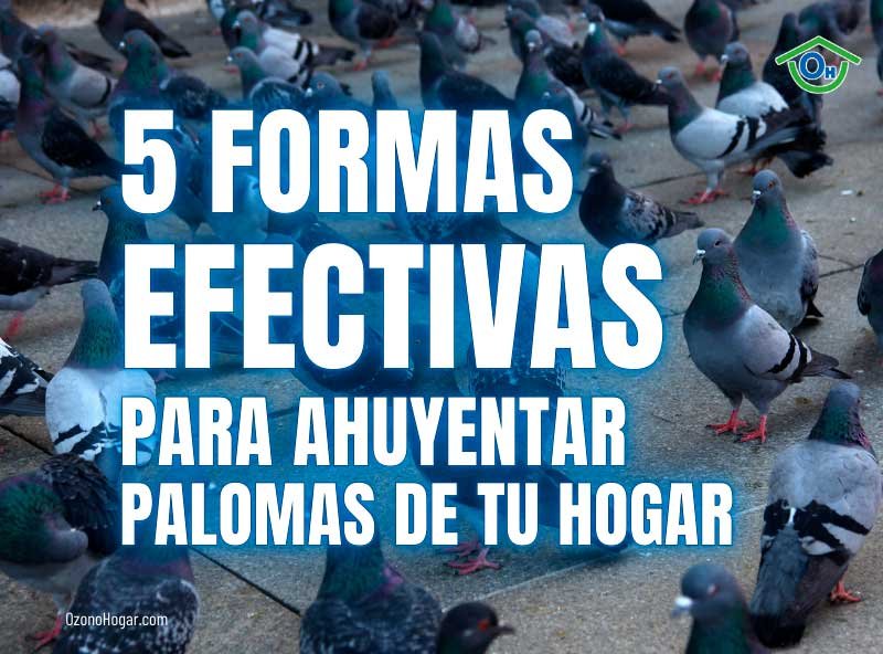 como puedo espantar palomas del techo de mi casa