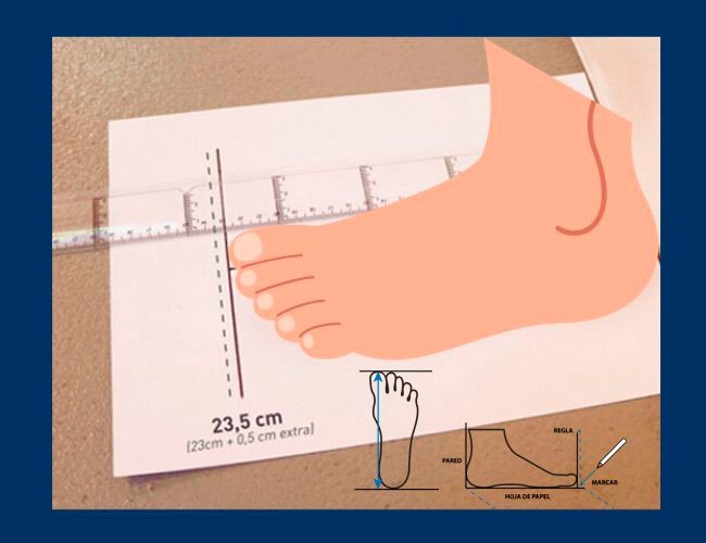 Cómo puedo medir correctamente mi pie para elegir el calzado adecuado 1 como puedo medir correctamente mi pie para elegir el calzado adecuado