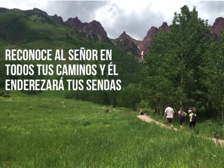 Cómo puedo reconócelo en todos tus caminos según la Biblia 2 Cómo puedo reconócelo en todos tus caminos según la Biblia