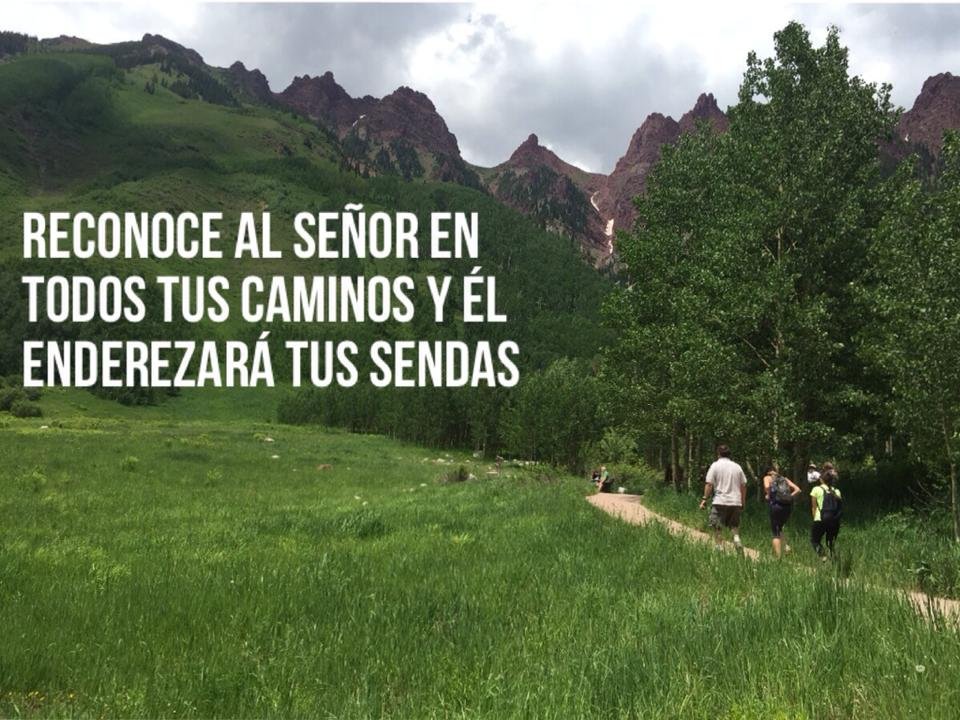 Cómo puedo reconócelo en todos tus caminos según la Biblia 1 como puedo reconocelo en todos tus caminos segun la biblia
