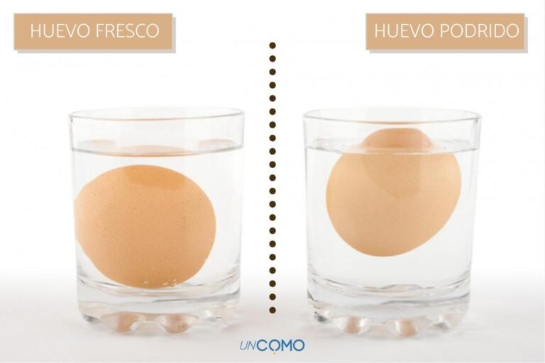 Cómo puedo saber si un huevo está en buen estado y es seguro consumirlo 7 Cómo puedo saber si un huevo está en buen estado y es seguro consumirlo
