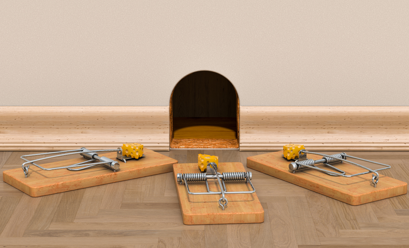 como puedo sacar una rata de su escondite de forma efectiva