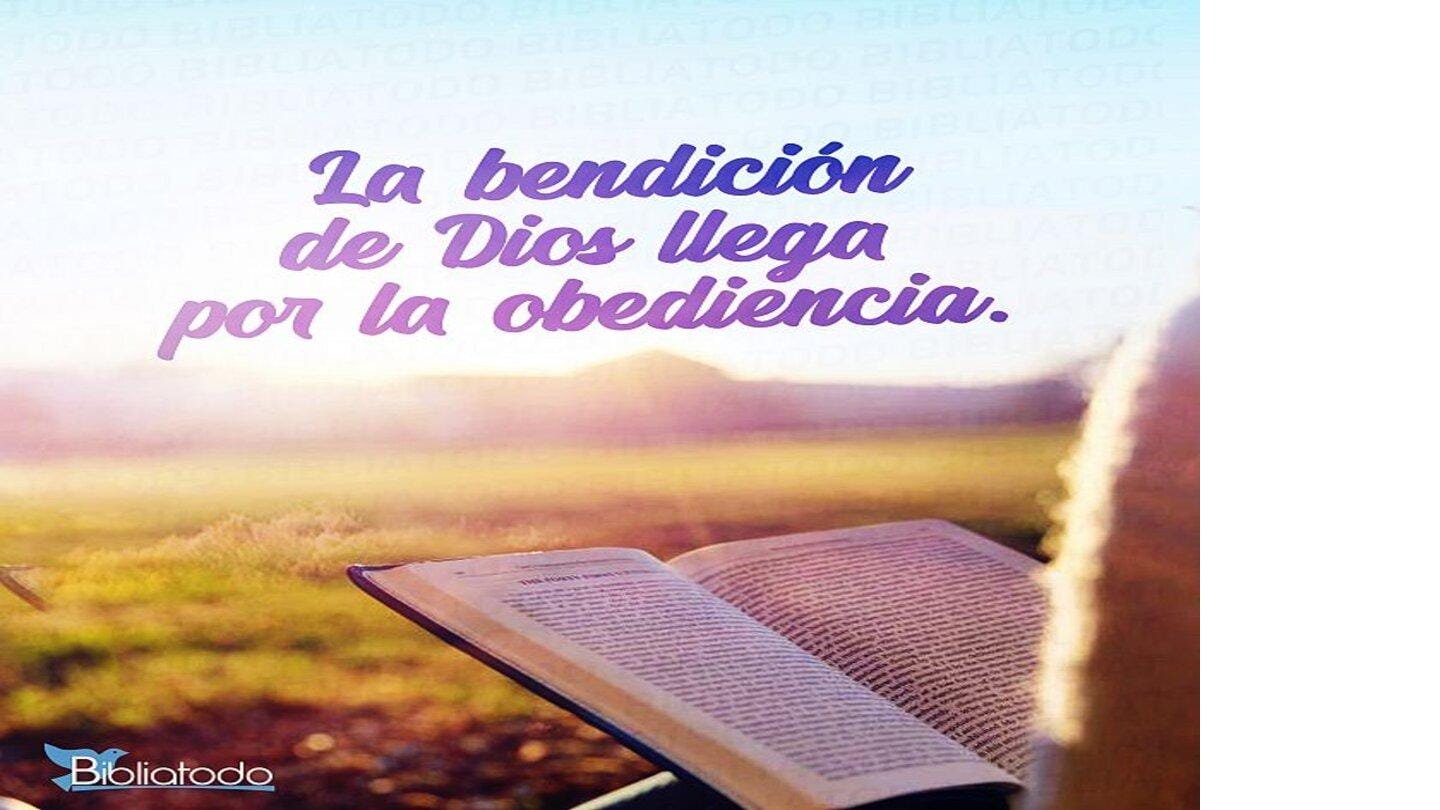 Cómo se aplica "Sed imitadores de mí, como yo de Cristo" en la vida diaria 1 como se aplica sed imitadores de mi como yo de cristo en la vida diaria