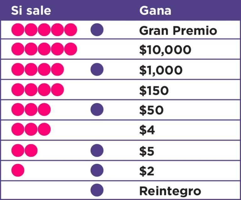 Cómo se juega al Loto Plus y cuáles son sus reglas básicas