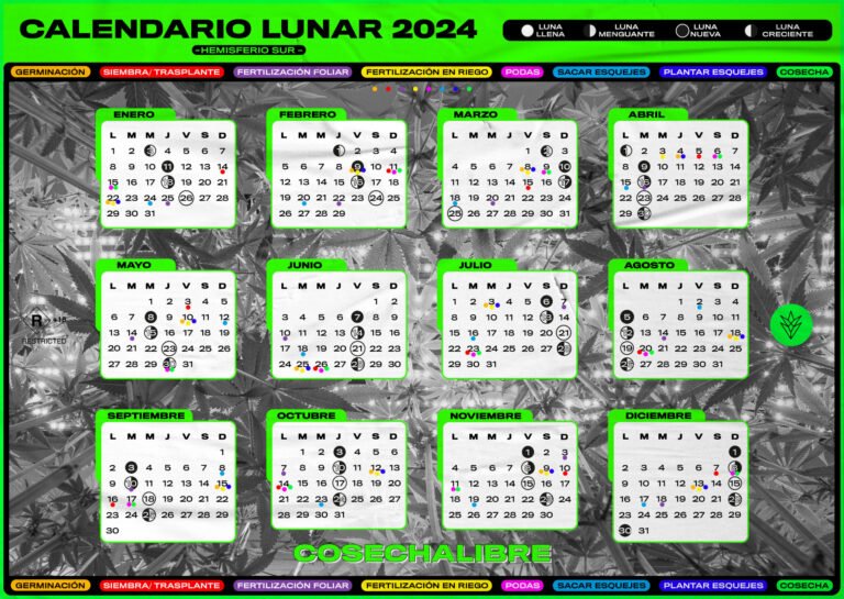 Cómo utilizar el calendario lunar en el hemisferio sur para tus actividades
