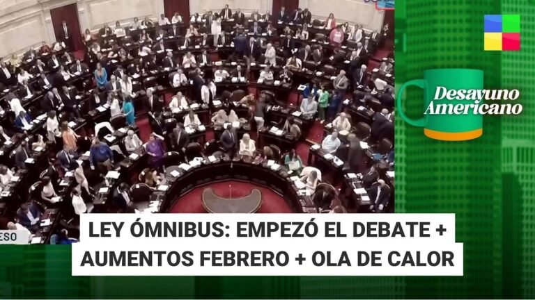 Cómo ver el debate de la ley ómnibus en vivo por internet