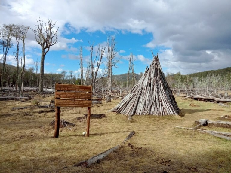 Cómo vivían los pueblos originarios en Argentina y su cultura 2 Cómo vivían los pueblos originarios en Argentina y su cultura