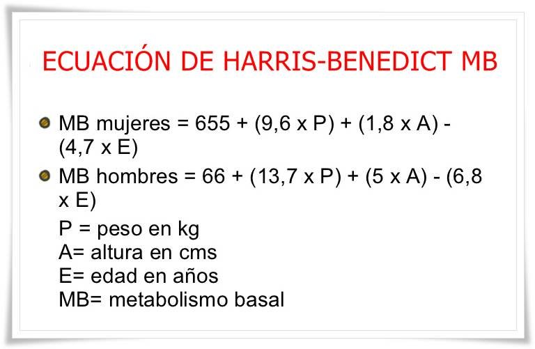 Cuál es la fórmula para calcular tus calorías diarias necesarias