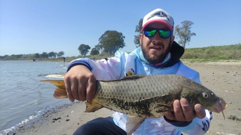 Cuáles son las especies de peces que se pueden encontrar en la Laguna de Chascomús 2 Cuáles son las especies de peces que se pueden encontrar en la Laguna de Chascomús