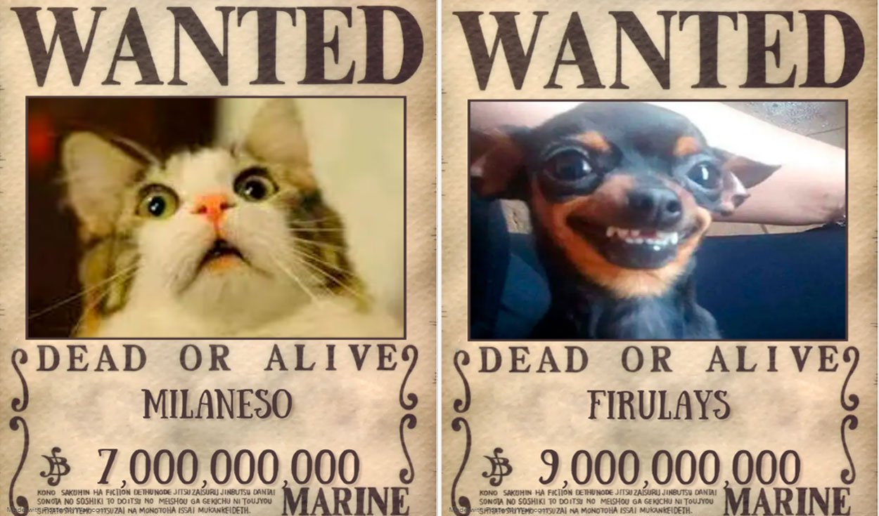 cuales son los carteles de se busca mas iconicos de one piece