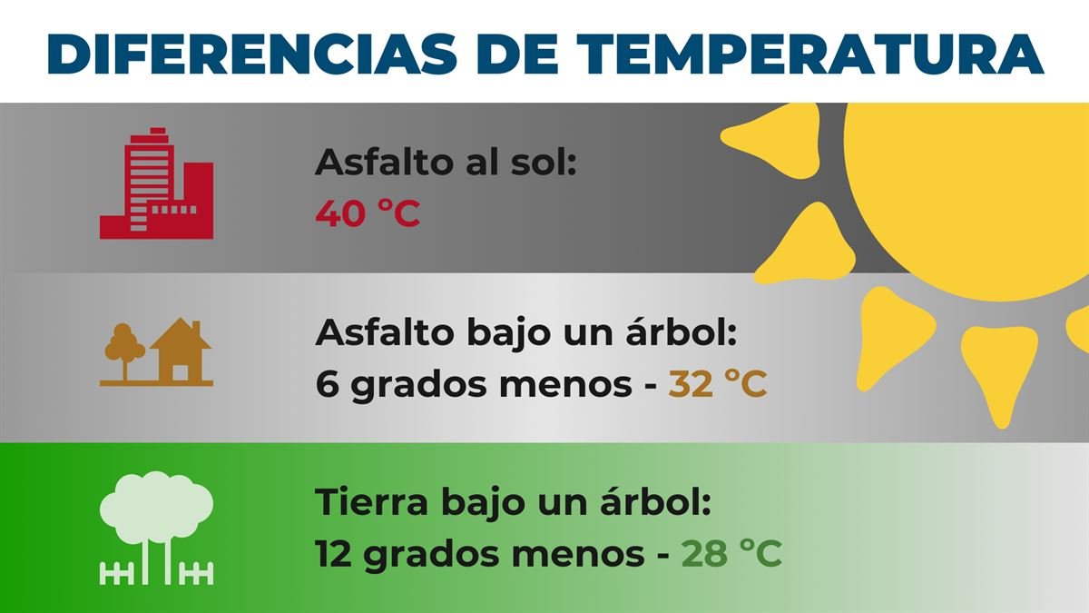 Cuántos grados de calor hay en mi ciudad en este momento 1 cuantos grados de calor hay en mi ciudad en este momento