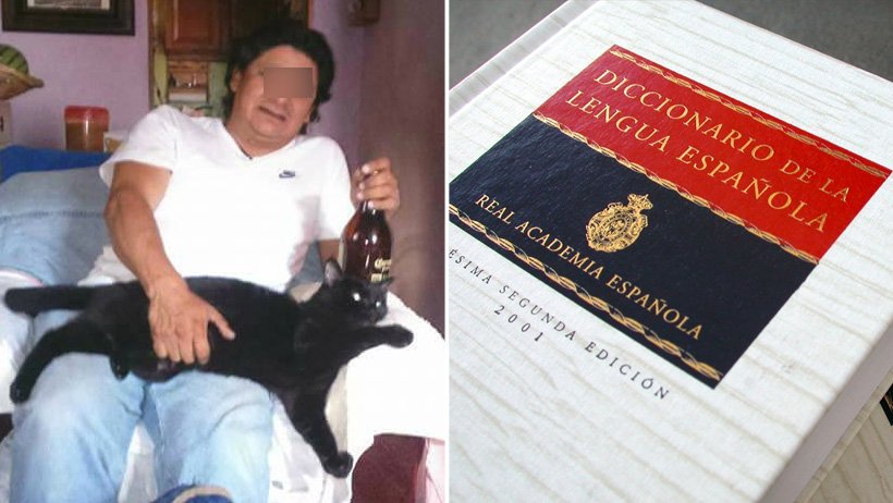 de que idioma proviene la expresion bon voyage y que significa