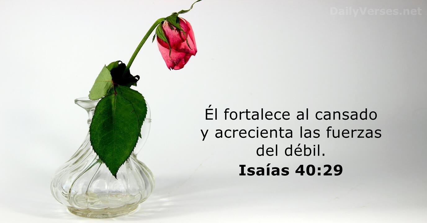De qué manera Dios da fuerzas al cansado según la Biblia 1 de que manera dios da fuerzas al cansado segun la biblia