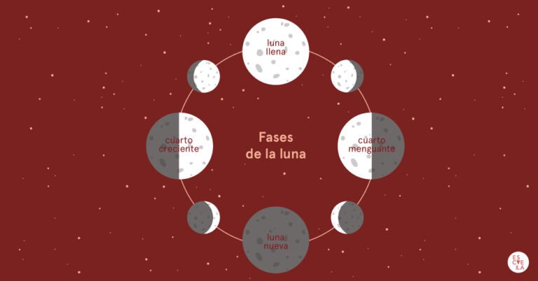 De qué manera influyen las fases de la luna en el ciclo menstrual