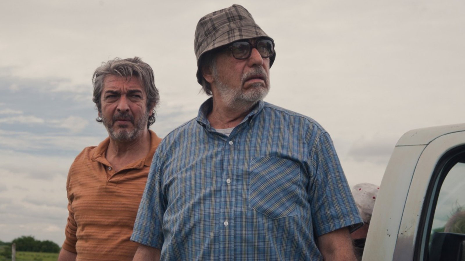 donde puedo ver la odisea de los giles pelicula completa online