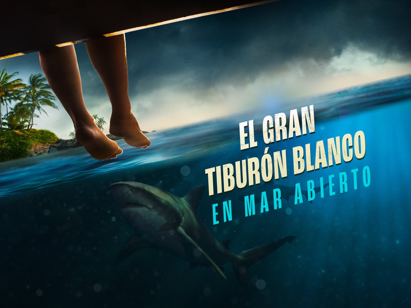 donde puedo ver la pelicula sobre el gran tiburon blanco