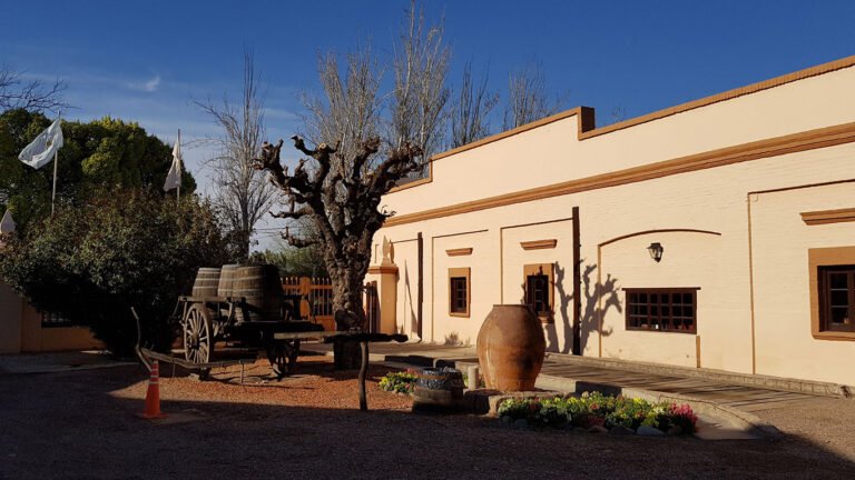 Dónde se encuentra el Museo del Vino Bodega La Rural en San Felipe