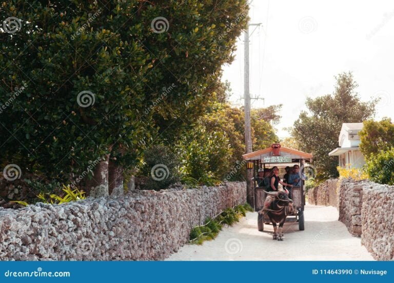 Qué hacer con niños en San Antonio de Areco 2 Qué hacer con niños en San Antonio de Areco