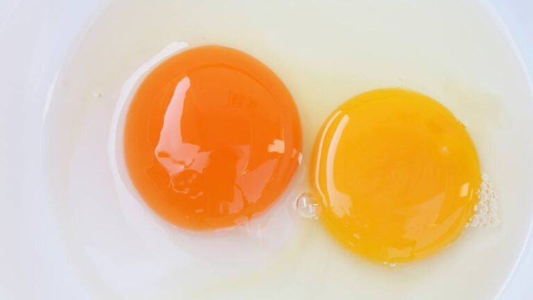 Por qué algunos huevos tienen yema naranja y otros amarilla