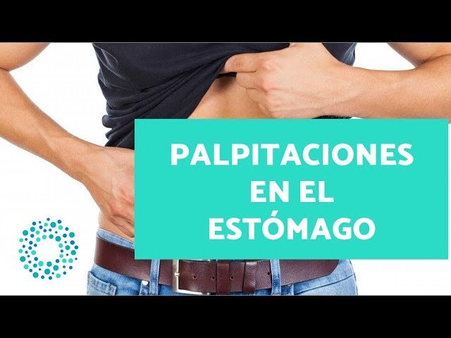 Por qué me late la panza cuando estoy acostada 3 Por qué me late la panza cuando estoy acostada