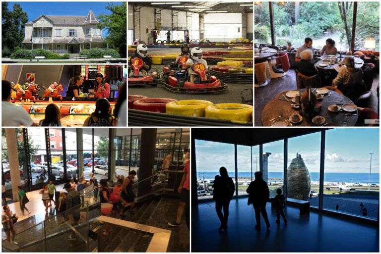 Qué actividades se pueden hacer en Mar del Plata de noche y de día