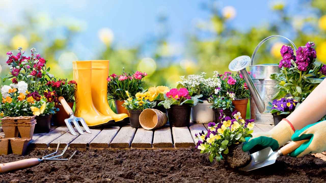 que actividades y consejos para un jardin en mis primeros pasos