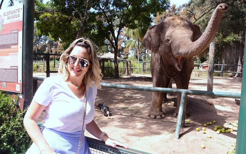 Qué actividades y lugares imperdibles hay en Luján para los locos por todo 1 que actividades y lugares imperdibles hay en lujan para los locos por todo