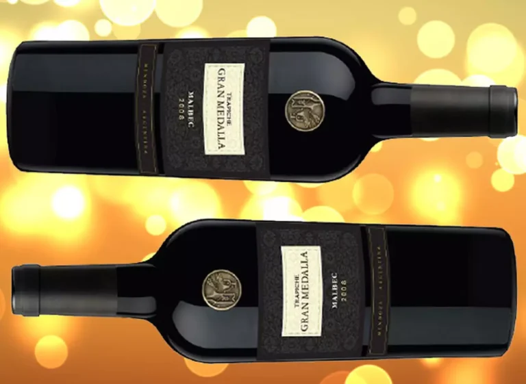 Qué características y maridajes ofrece el vino Trapiche Gran Medalla Malbec 2 Qué características y maridajes ofrece el vino Trapiche Gran Medalla Malbec