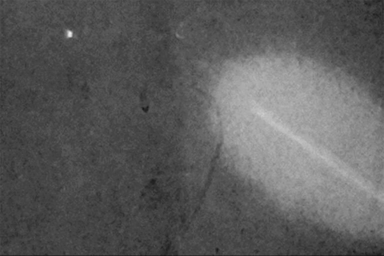 Qué es Años Luz y cómo se relaciona con Bahía Blanca