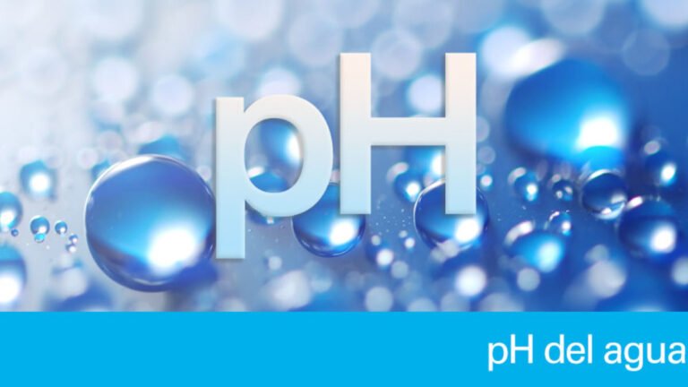 Qué información necesitas sobre el pH del agua en Mar del Plata 2 Qué información necesitas sobre el pH del agua en Mar del Plata