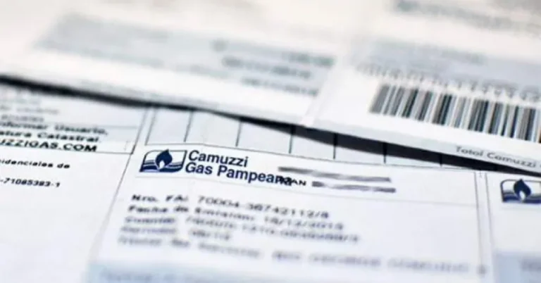 Qué servicios ofrece Camuzzi Gas Pampeana en Mar del Plata 1 Qué servicios ofrece Camuzzi Gas Pampeana en Mar del Plata