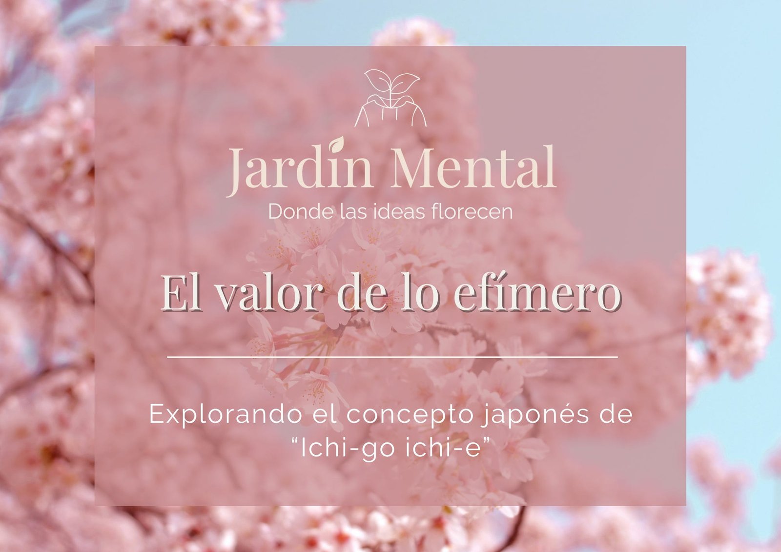 que significa ichi go ichi e y como se aplica en la vida diaria