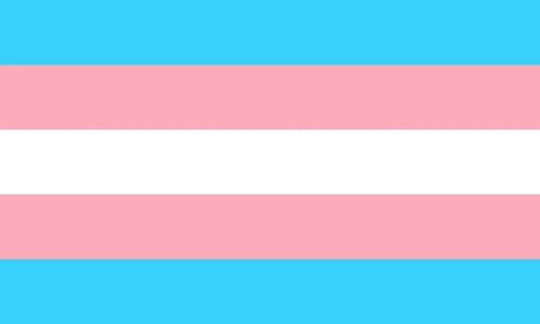 Qué significa la bandera del orgullo trans y cuáles son sus colores 2 Qué significa la bandera del orgullo trans y cuáles son sus colores