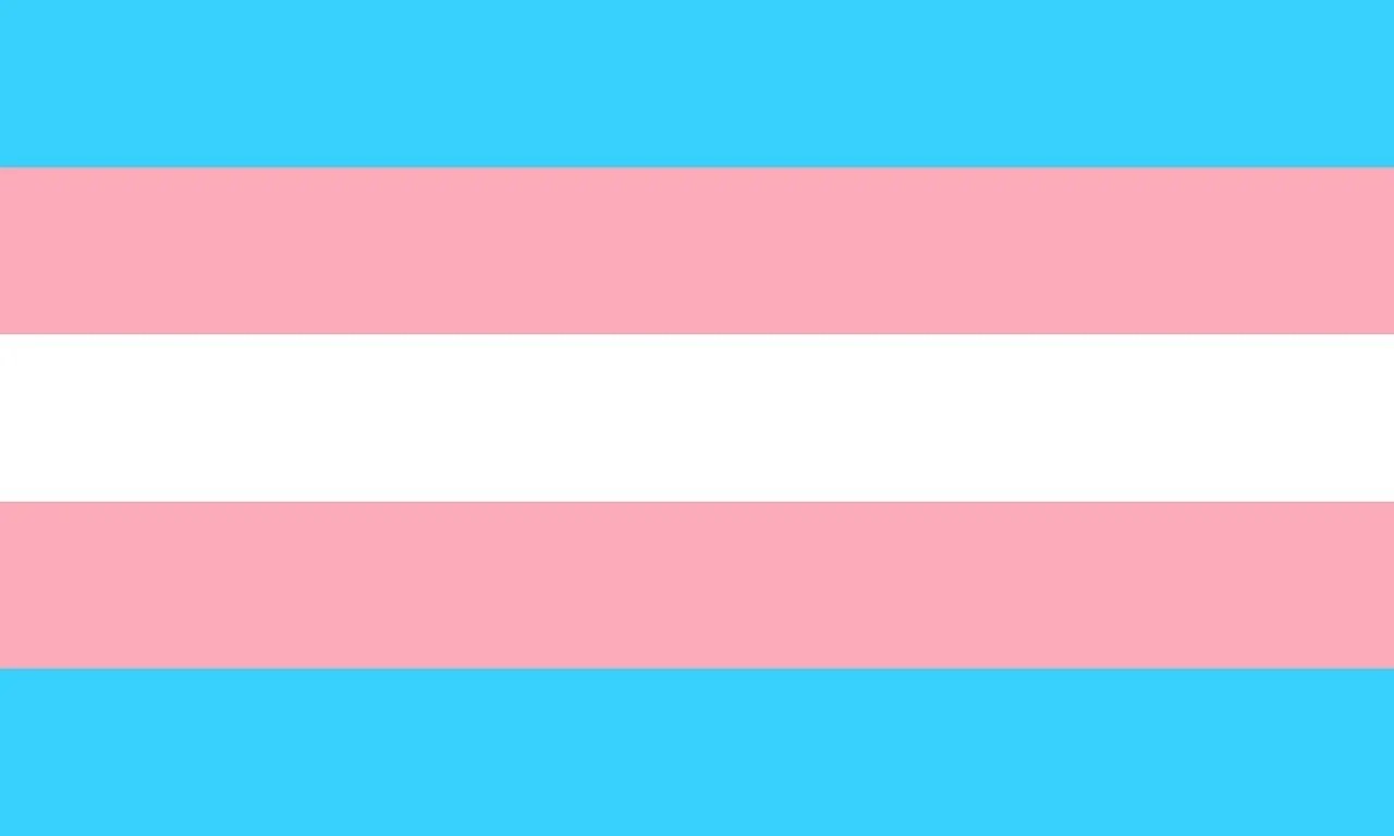 Qué significa la bandera del orgullo trans y cuáles son sus colores 1 que significa la bandera del orgullo trans y cuales son sus colores
