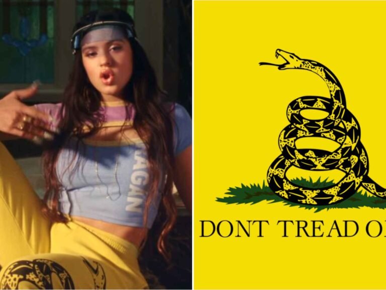 Qué significa la frase "Don't Tread on Me" y su historia 7 Qué significa la frase «Don’t Tread on Me» y su historia