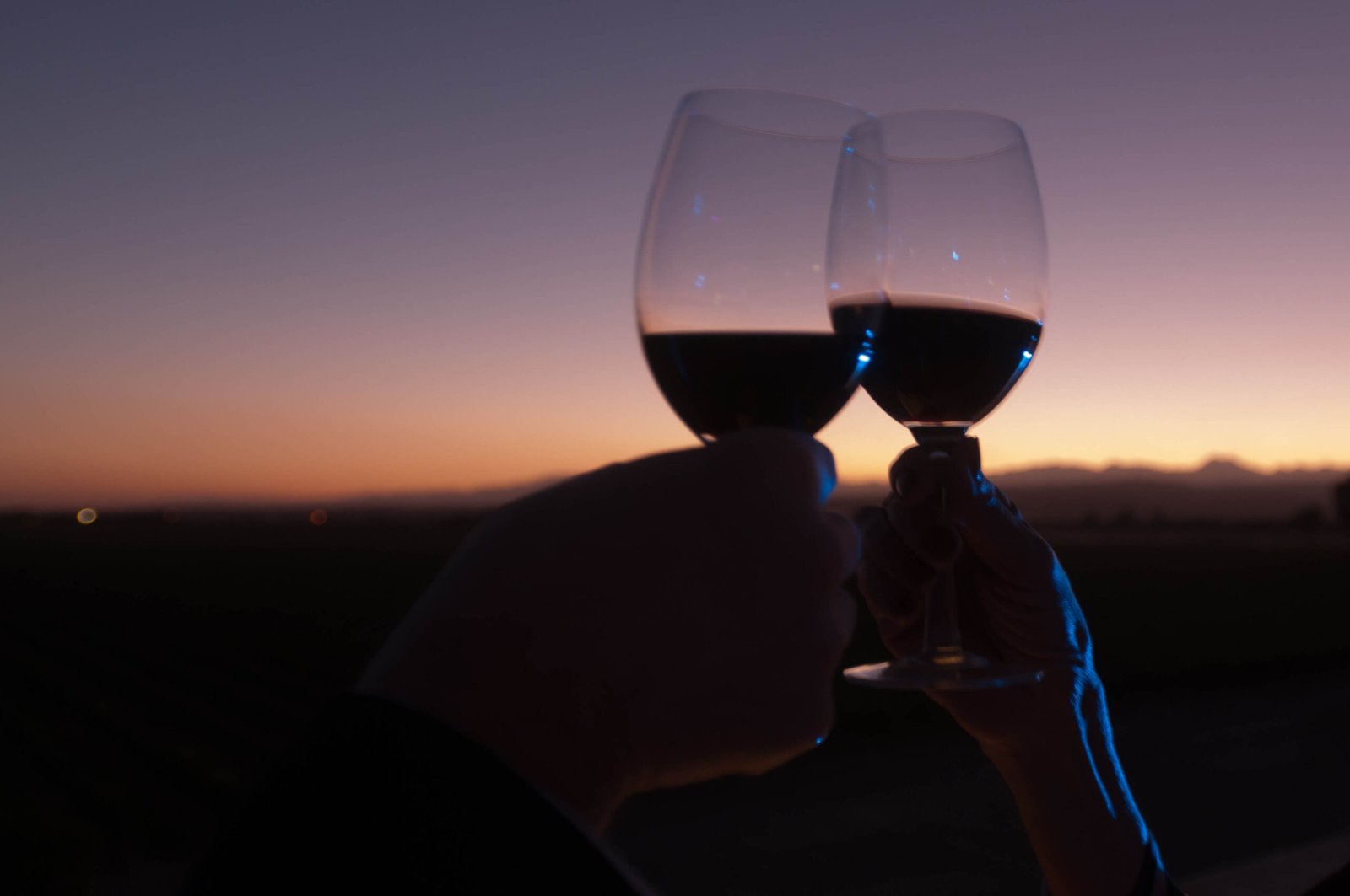 Qué significan dos copas de vino en una cena romántica 1 que significan dos copas de vino en una cena romantica scaled