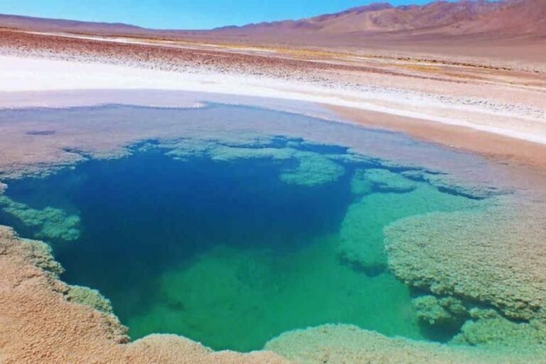 Qué son los Ojos de Mar en Argentina y dónde se encuentran