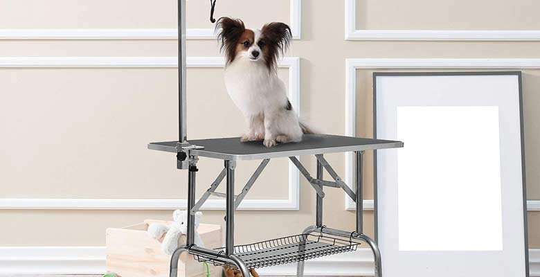 Qué tener en cuenta al elegir una mesa para peluquería canina 1 que tener en cuenta al elegir una mesa para peluqueria canina
