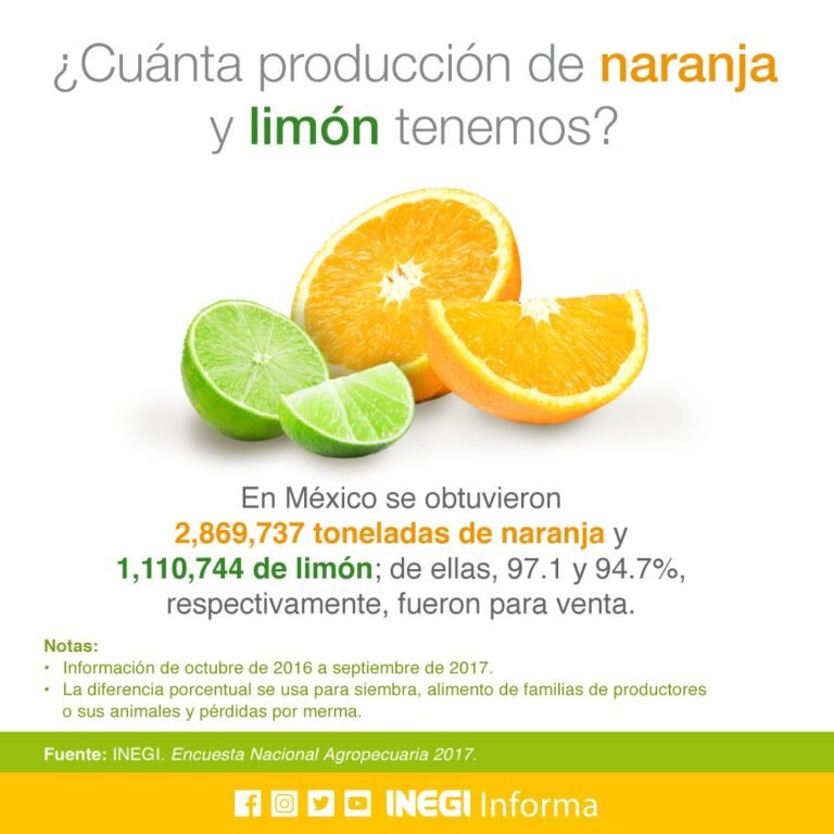 Qué tiene más vitamina C un limón o una naranja 3 Qué tiene más vitamina C un limón o una naranja