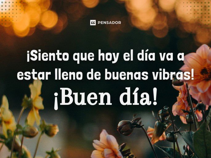 solo sentimientos y nada mas reflexiones para un buen dia