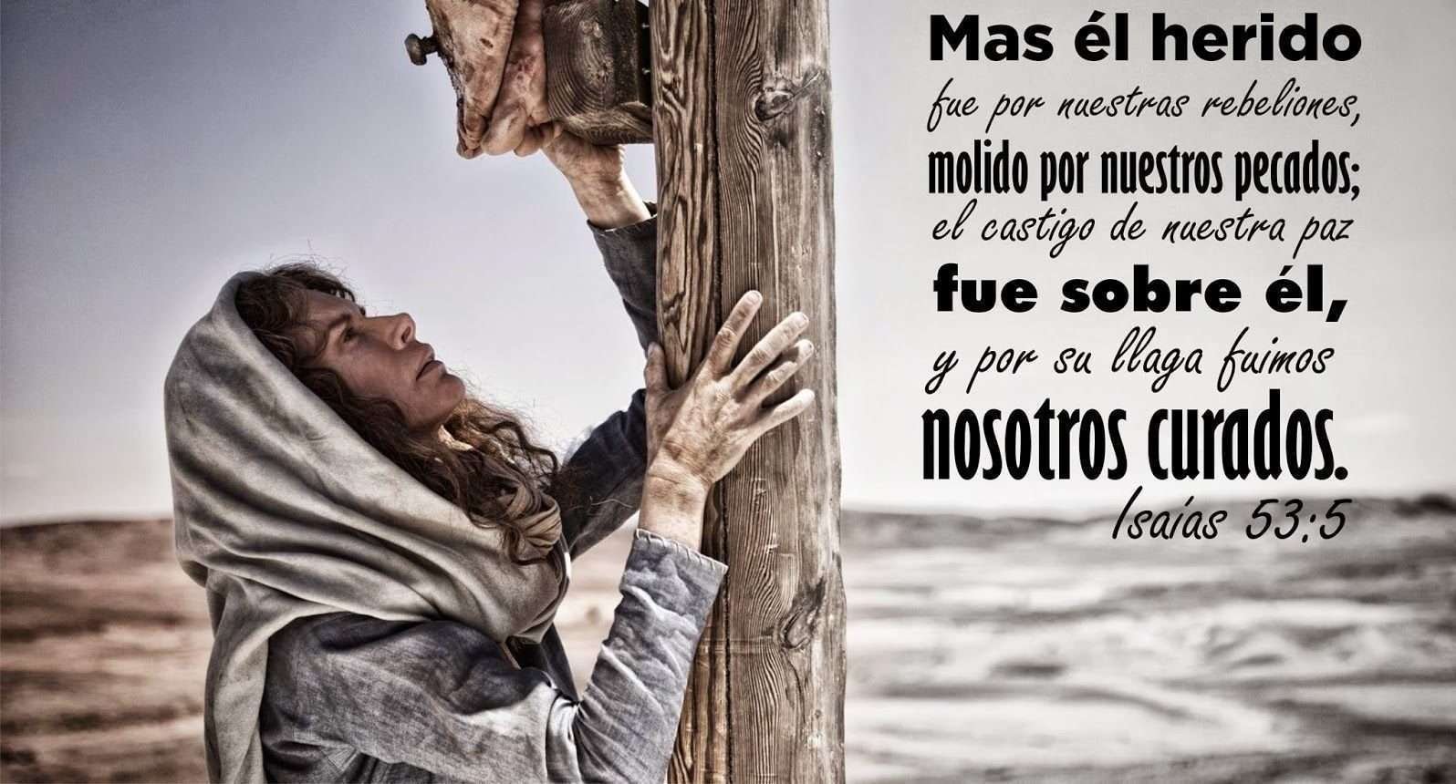 Todo fue creado por Él y para Él Descubre el significado profundo 1 todo fue creado por el y para el descubre el significado profundo